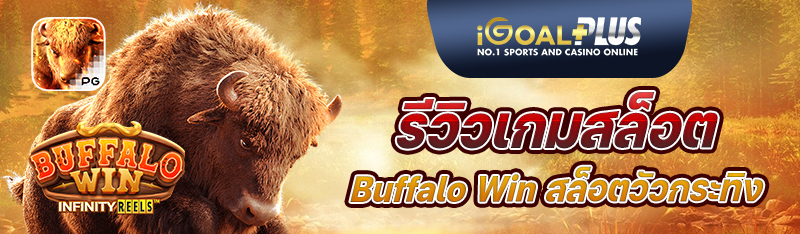 รีวิวเกมสล็อต Buffalo Win สล็อตออนไลน์วัวกระทิง แสนสนุก
